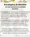 Prêt à l'emploi - Hammam & Sauna - Eucalyptus / Menthe